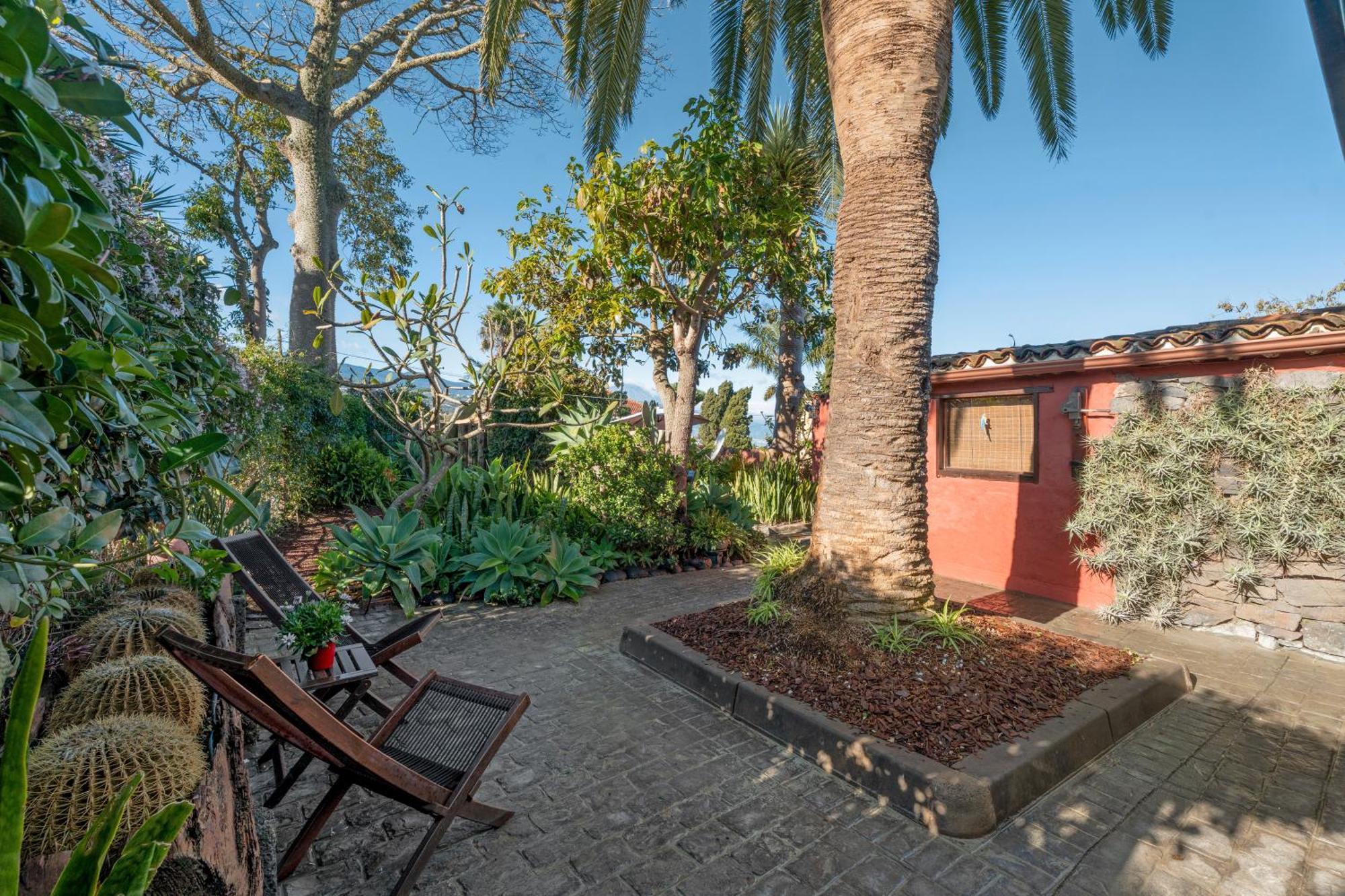 Casa Palmera - Private Paradise Такоронте Екстериор снимка